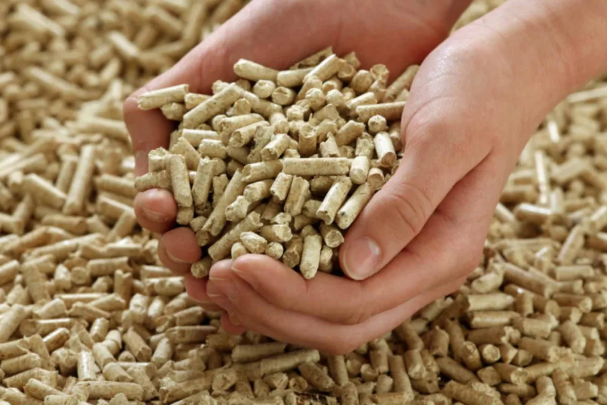 Pellet